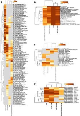 Phillyrin for COVID-19 and Influenza Co-infection: A Potential Therapeutic Strategy Targeting Host Based on Bioinformatics Analysis